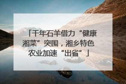 千年石羊借力“健康湘菜”突围，湘乡特色农业加速“出省”
