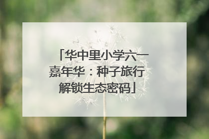 华中里小学六一嘉年华：种子旅行解锁生态密码