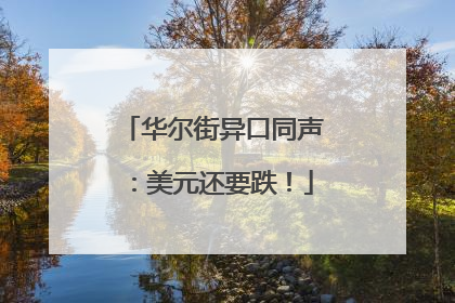 华尔街异口同声：美元还要跌！