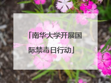 南华大学开展国际禁毒日行动
