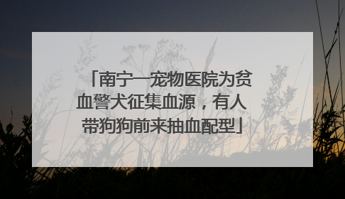 南宁一宠物医院为贫血警犬征集血源，有人带狗狗前来抽血配型