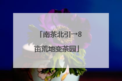 南茶北引→8亩荒地变茶园