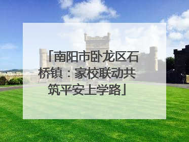 南阳市卧龙区石桥镇：家校联动共筑平安上学路