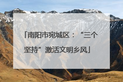 南阳市宛城区：“三个坚持”激活文明乡风