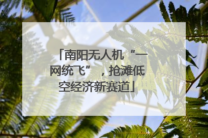 南阳无人机“一网统飞”，抢滩低空经济新赛道