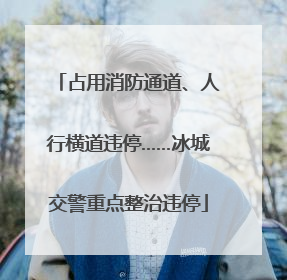 占用消防通道、人行横道违停……冰城交警重点整治违停