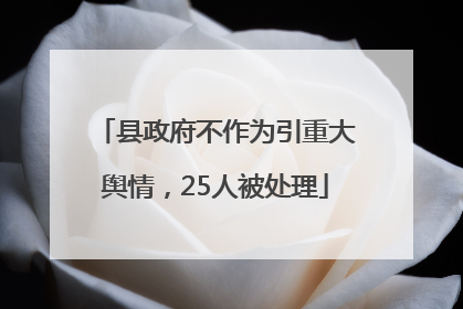 县政府不作为引重大舆情，25人被处理