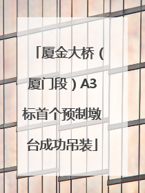 厦金大桥（厦门段）A3标首个预制墩台成功吊装