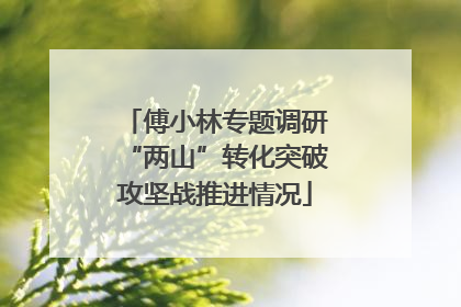 傅小林专题调研“两山”转化突破攻坚战推进情况