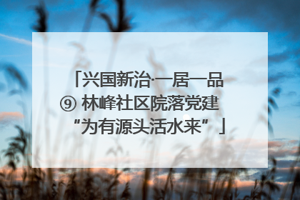 兴国新治·一居一品⑨ 林峰社区院落党建“为有源头活水来”