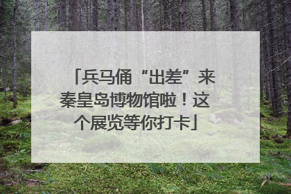 兵马俑“出差”来秦皇岛博物馆啦！这个展览等你打卡