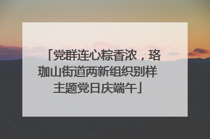 党群连心粽香浓，珞珈山街道两新组织别样主题党日庆端午
