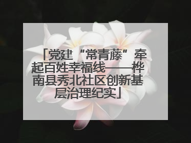 党建“常青藤”牵起百姓幸福线——桦南县秀北社区创新基层治理纪实