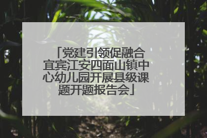 党建引领促融合 宜宾江安四面山镇中心幼儿园开展县级课题开题报告会