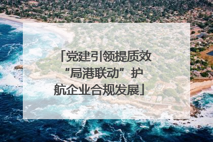 党建引领提质效 “局港联动”护航企业合规发展