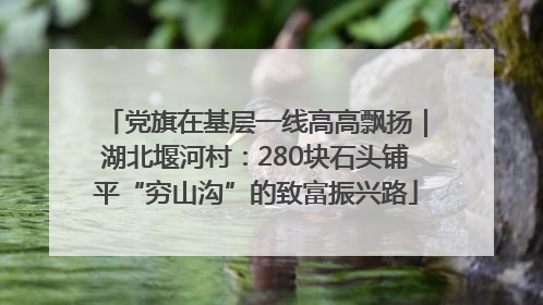 党旗在基层一线高高飘扬｜湖北堰河村：280块石头铺平“穷山沟”的致富振兴路
