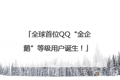 全球首位QQ“金企鹅”等级用户诞生！