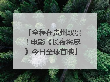全程在贵州取景！电影《长夜将尽》今日全球首映