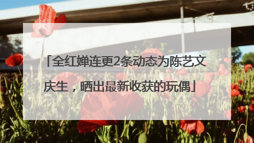 全红婵连更2条动态为陈艺文庆生，晒出最新收获的玩偶