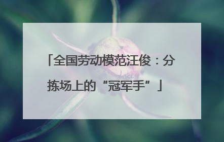 全国劳动模范汪俊：分拣场上的“冠军手”