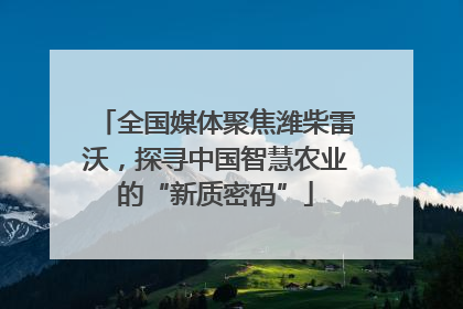 全国媒体聚焦潍柴雷沃，探寻中国智慧农业的“新质密码”