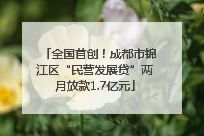 全国首创！成都市锦江区“民营发展贷”两月放款1.7亿元