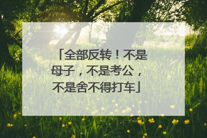 全部反转！不是母子，不是考公，不是舍不得打车