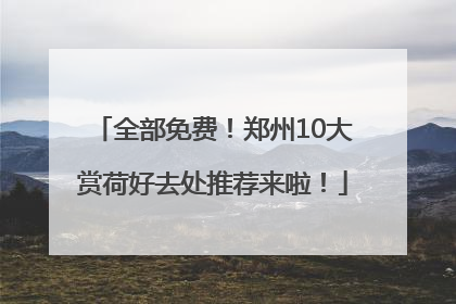 全部免费！郑州10大赏荷好去处推荐来啦！