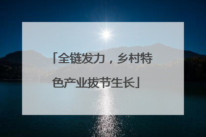 全链发力，乡村特色产业拔节生长