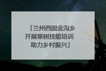 兰州西固金沟乡开展果树技能培训 助力乡村振兴