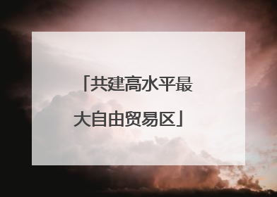 共建高水平最大自由贸易区