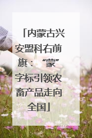 内蒙古兴安盟科右前旗：“蒙”字标引领农畜产品走向全国