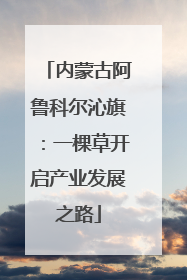 内蒙古阿鲁科尔沁旗：一棵草开启产业发展之路