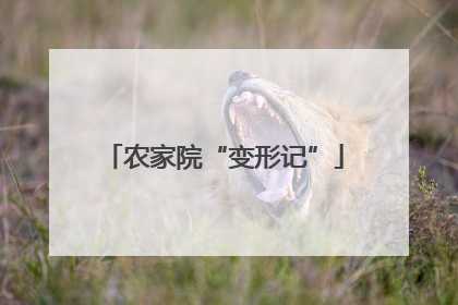 农家院“变形记”