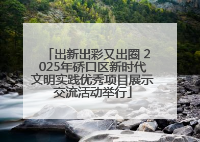 出新出彩又出圈 2025年硚口区新时代文明实践优秀项目展示交流活动举行