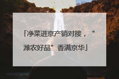 净菜进京产销对接，“潍农好品”香满京华