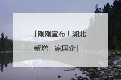 刚刚宣布！湖北新增一家国企