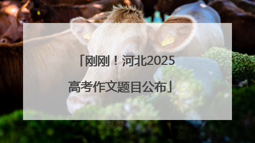 刚刚！河北2025高考作文题目公布
