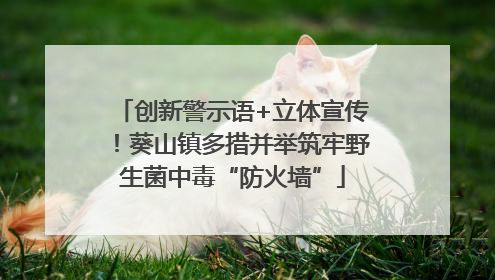 创新警示语+立体宣传！葵山镇多措并举筑牢野生菌中毒“防火墙”