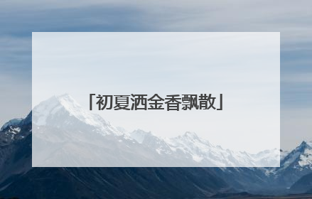 初夏洒金香飘散