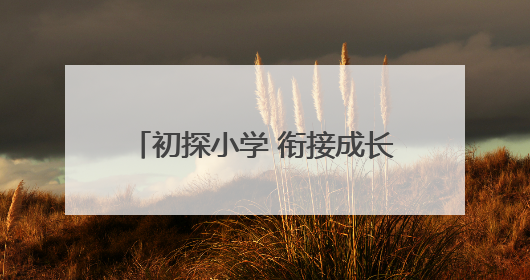 初探小学 衔接成长——青岛淮阳路小学开展幼小衔接活动