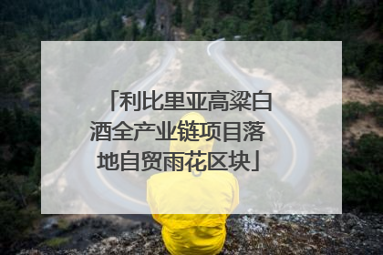 利比里亚高粱白酒全产业链项目落地自贸雨花区块