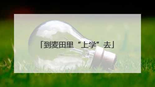 到麦田里“上学”去
