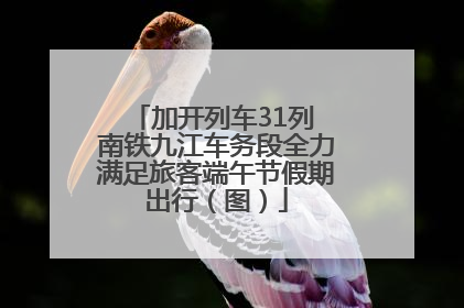 加开列车31列 南铁九江车务段全力满足旅客端午节假期出行（图）