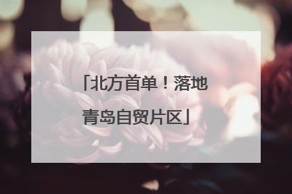 北方首单！落地青岛自贸片区