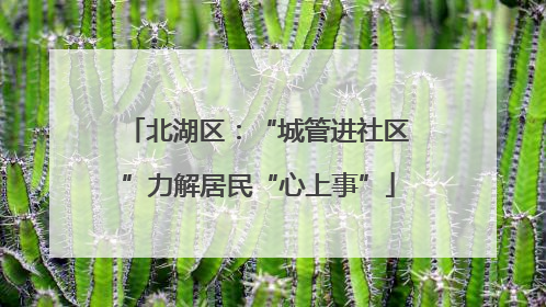 北湖区：“城管进社区”力解居民“心上事”