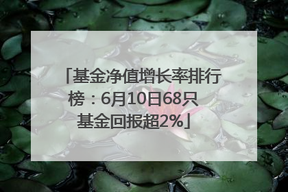 基金净值增长率排行榜：6月10日68只基金回报超2%