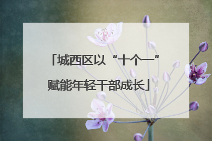城西区以“十个一”赋能年轻干部成长