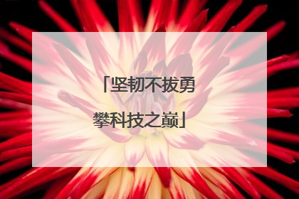 坚韧不拔勇攀科技之巅