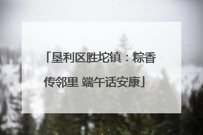 垦利区胜坨镇：粽香传邻里 端午话安康